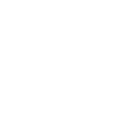 Véhicules contrôlés